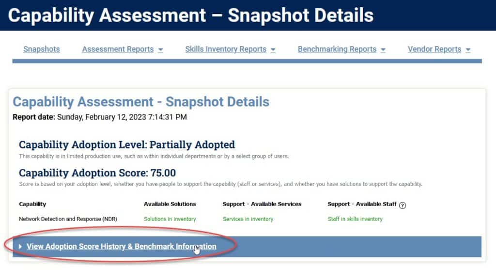 Screenshot - Capability Assessment Detail report - 2023-02-14_20-47-03